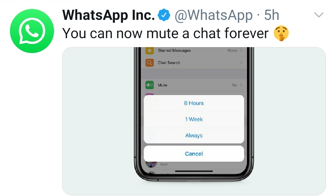 WhatsApp announces changes to ‘Mute’ option Newswire