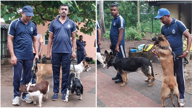 Police receive 35 dogs from Netherlands to bolster ‘Yukthiya’ operation