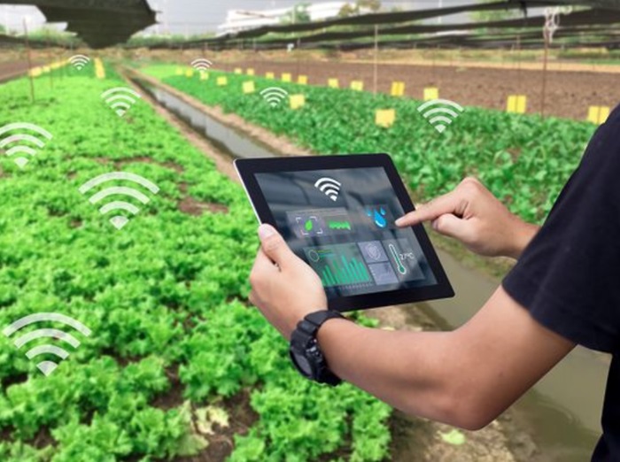 India’s agritech startups deliver results where it matters most – for farmers